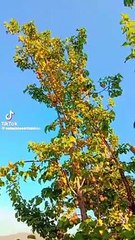 1687859359788_1687859359790