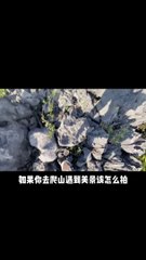 Photography video styles and fun