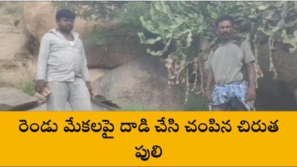 రాయదుర్గం: చిరుత పులి కలకలం.. భయాందోళనలో ఊరి ప్రజలు