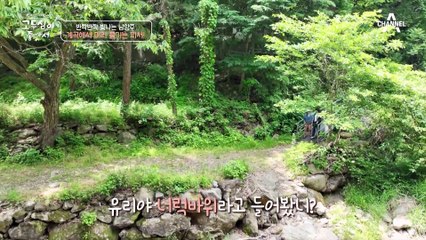 지친 몸과 마음이 절로 힐링 되는 시간♥ 고두심&이유리의 미리 즐기는 계곡 피서!