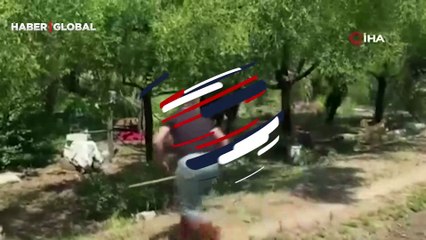 1 saatlik kovalamaca! Vatandaşlar, boğayı yakalamak için büyük çaba harcadı