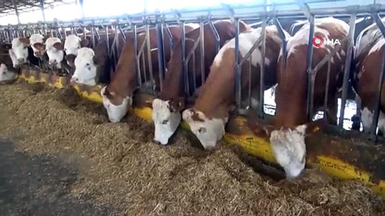 N'empilez pas la viande du sacrifice les unes sur les autres