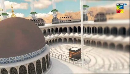 Importance Of Arafah.  ✨#Hajj #HajjMubarak #HUMTV #Zilhajj Labaik Allahumma Labbaik