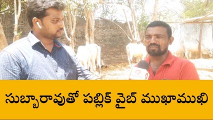 గోశాలలో శుద్ధమైన విభూతి తయారీ ( పబ్లిక్ వైబ్ స్పెషల్ స్టోరీ)