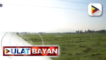 DA, tiniyak na sapat ang suplay ng bigas sa Pilipinas hanggang sa 3rd quarter ng 2023