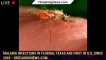 Malaria infections in Florida, Texas are first in U.S. since 2003 - 1breakingnews.com