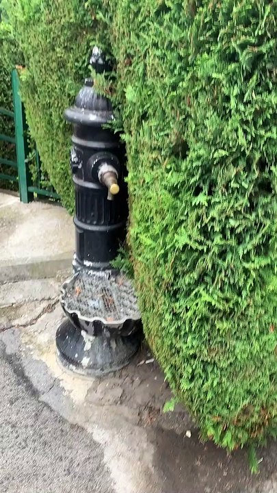 Peculiar Fountain Placement