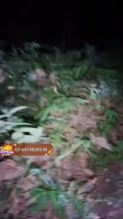 Paranormal activity ghost on camera part 150