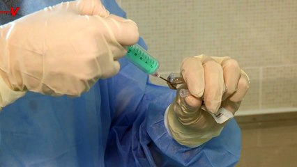 Locally Acquired Cases Of Malaria Found In Florida & Texas