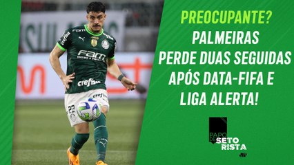 DERROTA do Palmeiras pro Botafogo PREOCUPA e LIGA O SINAL DE ALERTA no Verdão? | PAPO DE SETORISTA