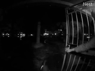 Un homme et son chien rencontrent un lion de montagne