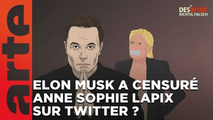 Elon Musk a-t-il censuré Anne Sophie Lapix sur Twitter ? / ARTE Désintox du 27/06/2023