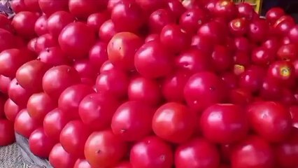 हाथरस: बरसाती मौसम में टमाटर हुआ और लाल, जानिए लोगो ली राय