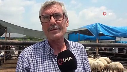 Adana usulü kurbanlıklar taşındı