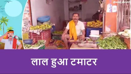 झांसी: मौसम की मार का टमाटर की फसल पर पड़ा बुरा असर, सैकड़ा के पास पहुंचा टमाटर का भाव