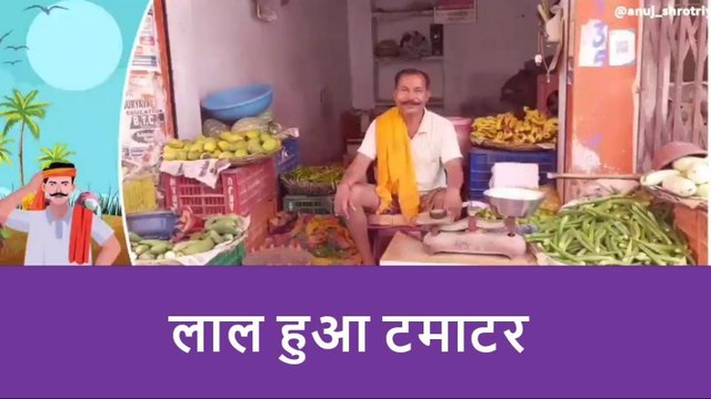 झांसी: मौसम की मार का टमाटर की फसल पर पड़ा बुरा असर, सैकड़ा के पास पहुंचा टमाटर का भाव