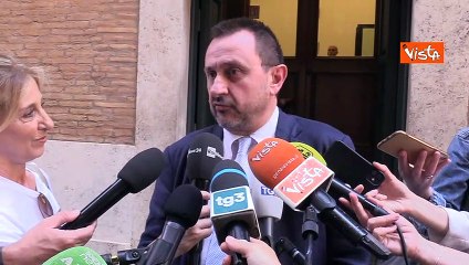 Mes, Rosato (IV): "Va ratificato, cercheremo di convincere tutti della sua utilit?"