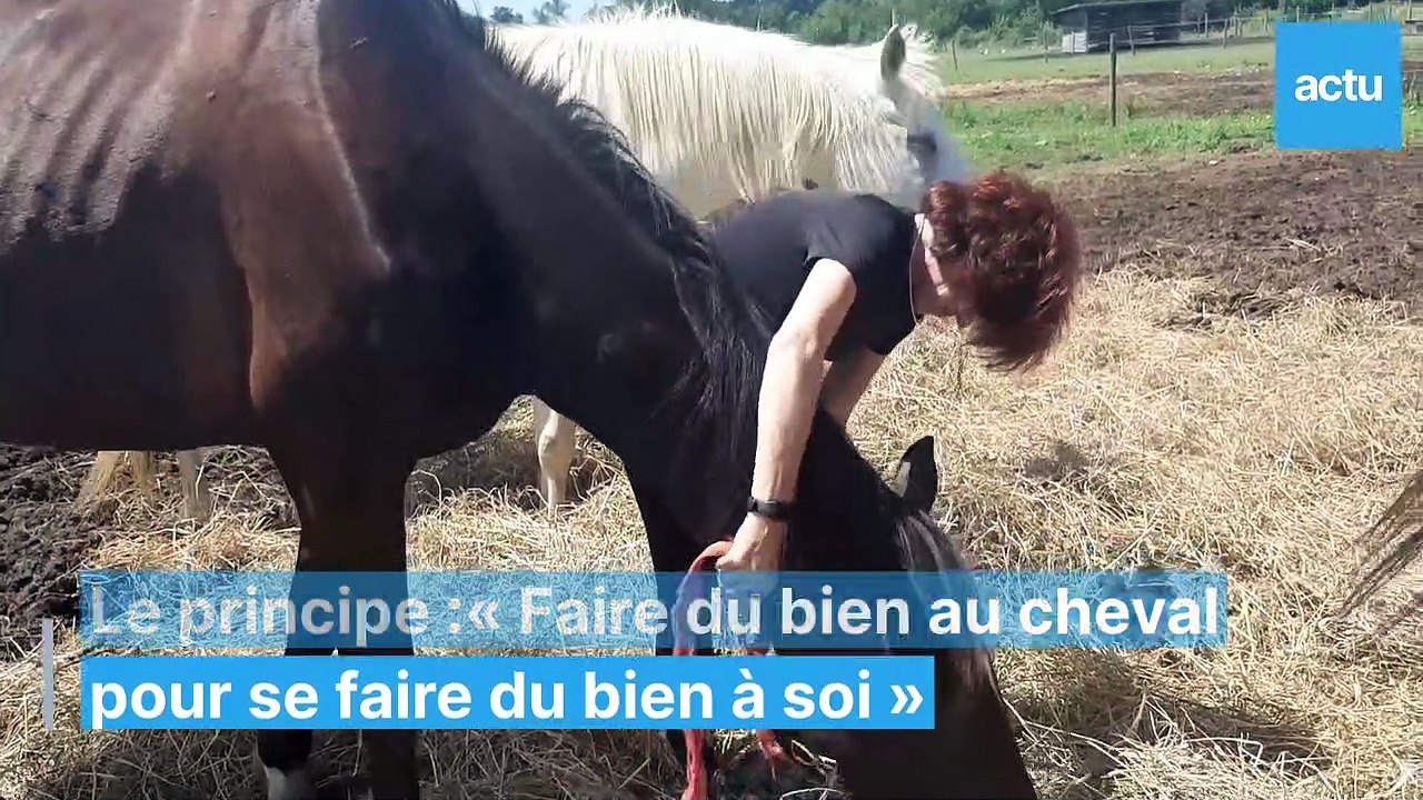 Un atelier pour oublier le cancer avec les chevaux