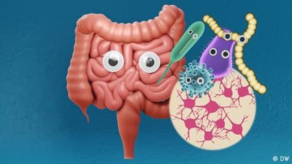 Is your gut your second brain?