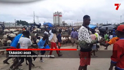 Tabaski 2023 : le prix du bétail satisfait client et vendeur