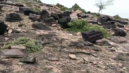 Many ancient artistic sculptures are scattered in Jhalawar forest