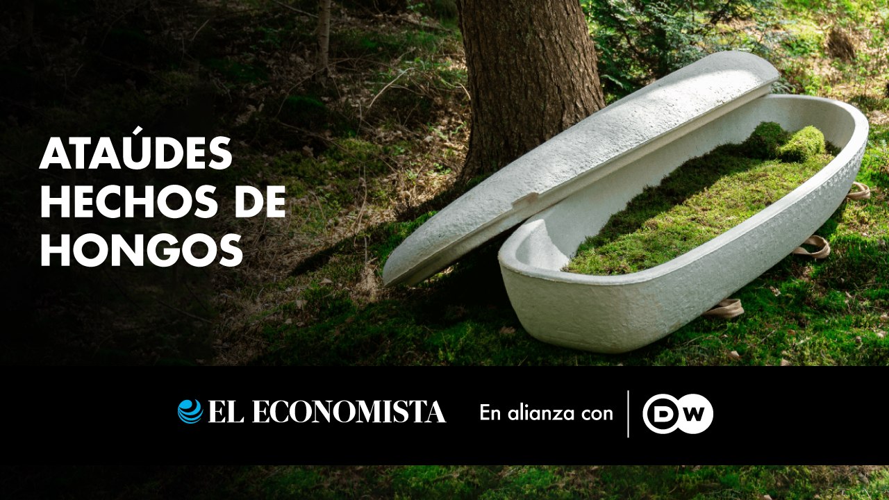 Ataúdes hechos de hongos