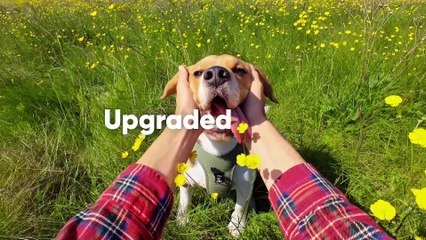 Présentation de l' Insta360 GO 3