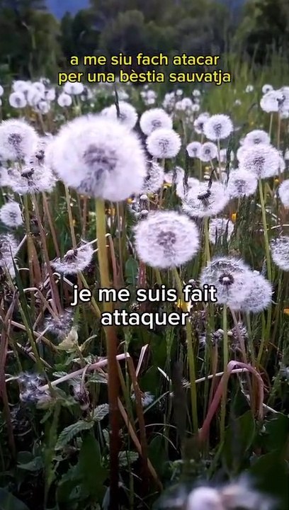 Attaqué par une bête sauvage 