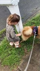 Girl Pretends To Pee On Mailbox After Dog