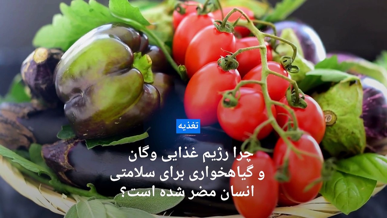 چرا رژیم غذایی وگان و گیاهخواری برای سلامتی انسان مضر شده‌ است؟