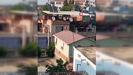 Adana'da Kurbanlık Keçi Çatıya Kaçtı