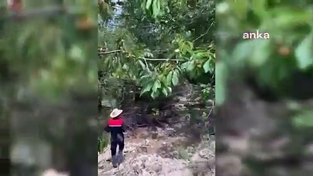 Gümüştaş Madencilik： ＂Nous n'avons aucun travail près du village d'Alihoca, et les soi-disant déchets minéraux susmentionnés ont été transférés de notre exploitation au lit du ruisseau du village d'Alihoca.