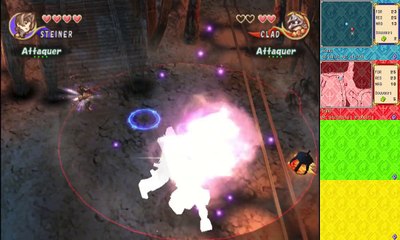 Final Fantasy Crystal Chronicles online multiplayer - ngc