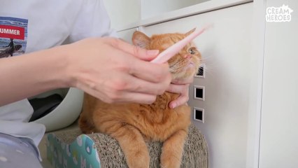 Its All Because Of LuLu! (ENG SUB)