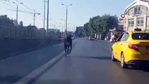 Sahibinden kaçan kurbanlık trafikte zor anlar yaşattı