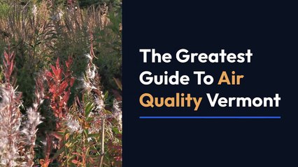 The Greatest Guide To Air quality vermont