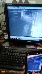 Download Video: Police found suspects in CCTV footage