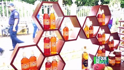 Exitoso Festival Nacional de Apicultura realizado en El Sauce