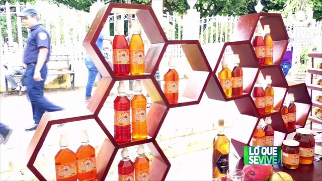 Exitoso Festival Nacional de Apicultura realizado en El Sauce