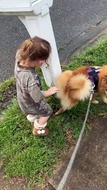 girl-pretends-to-pee-on-mailbox-after-dog-video-dailymotion