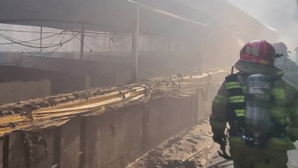 충남 공주 돈사에 불...돼지 350마리 폐사 / YTN