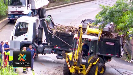 tn7-doce-toneladas-de-basura-en-bajo-los-ledezma-270623