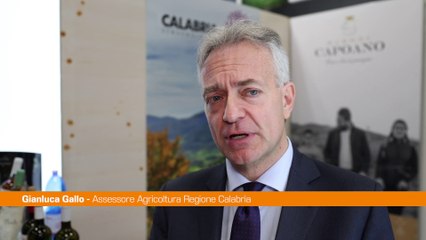 Calabria, Gallo "Efficace azione di promozione nel mondo"