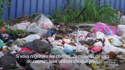 Au Sri Lanka, le problème éléphantesque des déchets plastiques