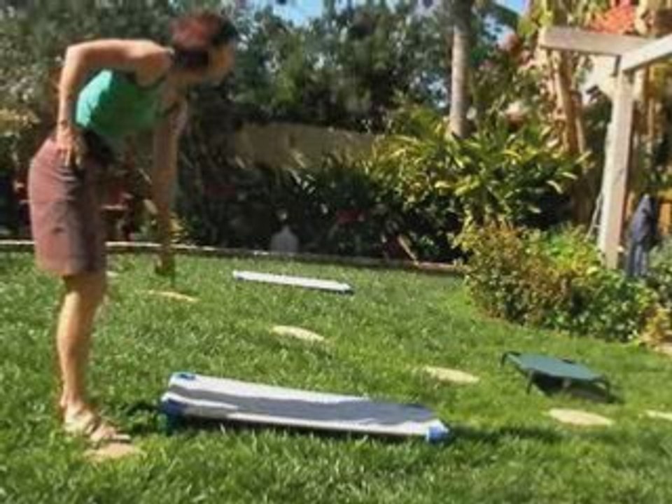 Dog Training Camp German Shorthaired Pointer GSP