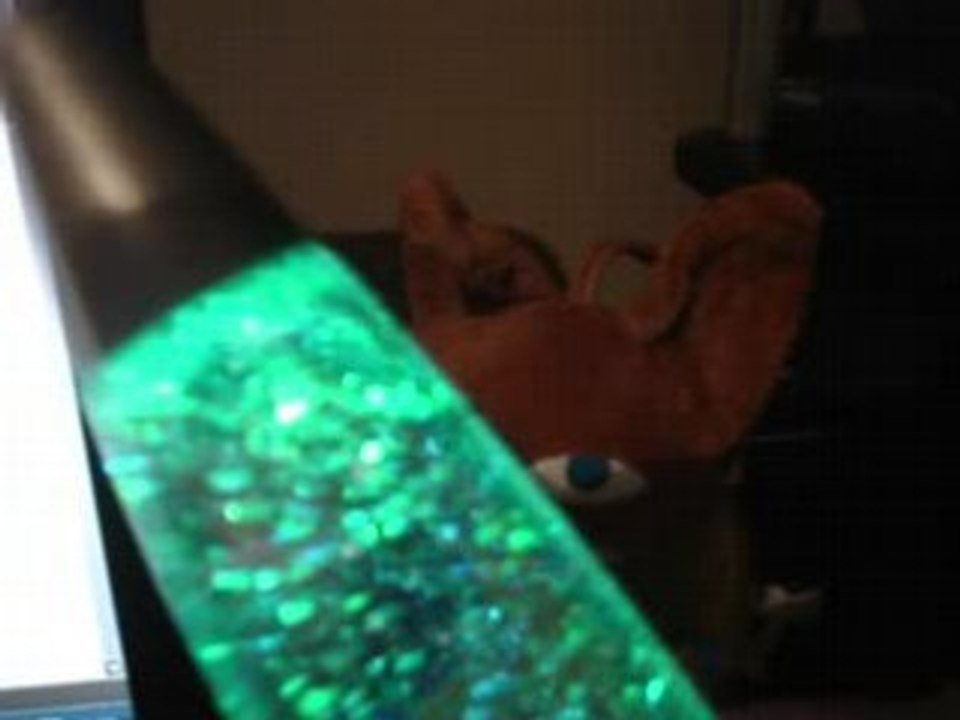 la bêtise est une science