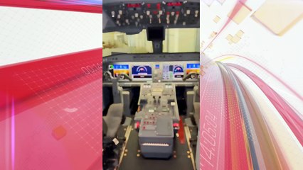 Veja o novo avião do Palmeiras