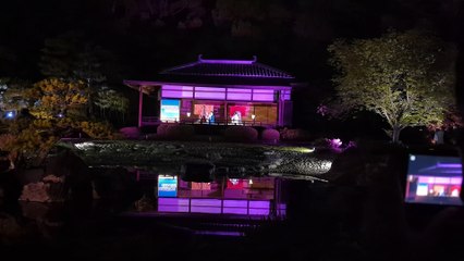 Geisha Performance at the World Heritage Site Nijo-jo Castle