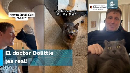 Aprende a hablar con tu gato; Joven se hace viral por enseñar el lenguaje gatuno