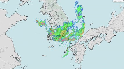 밤사이 남해안 시간당 70mm이상 물폭탄...현재 상황과 전망은? / YTN
